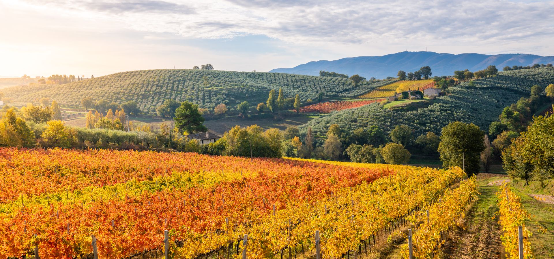 Landscape and travel experience in Umbria