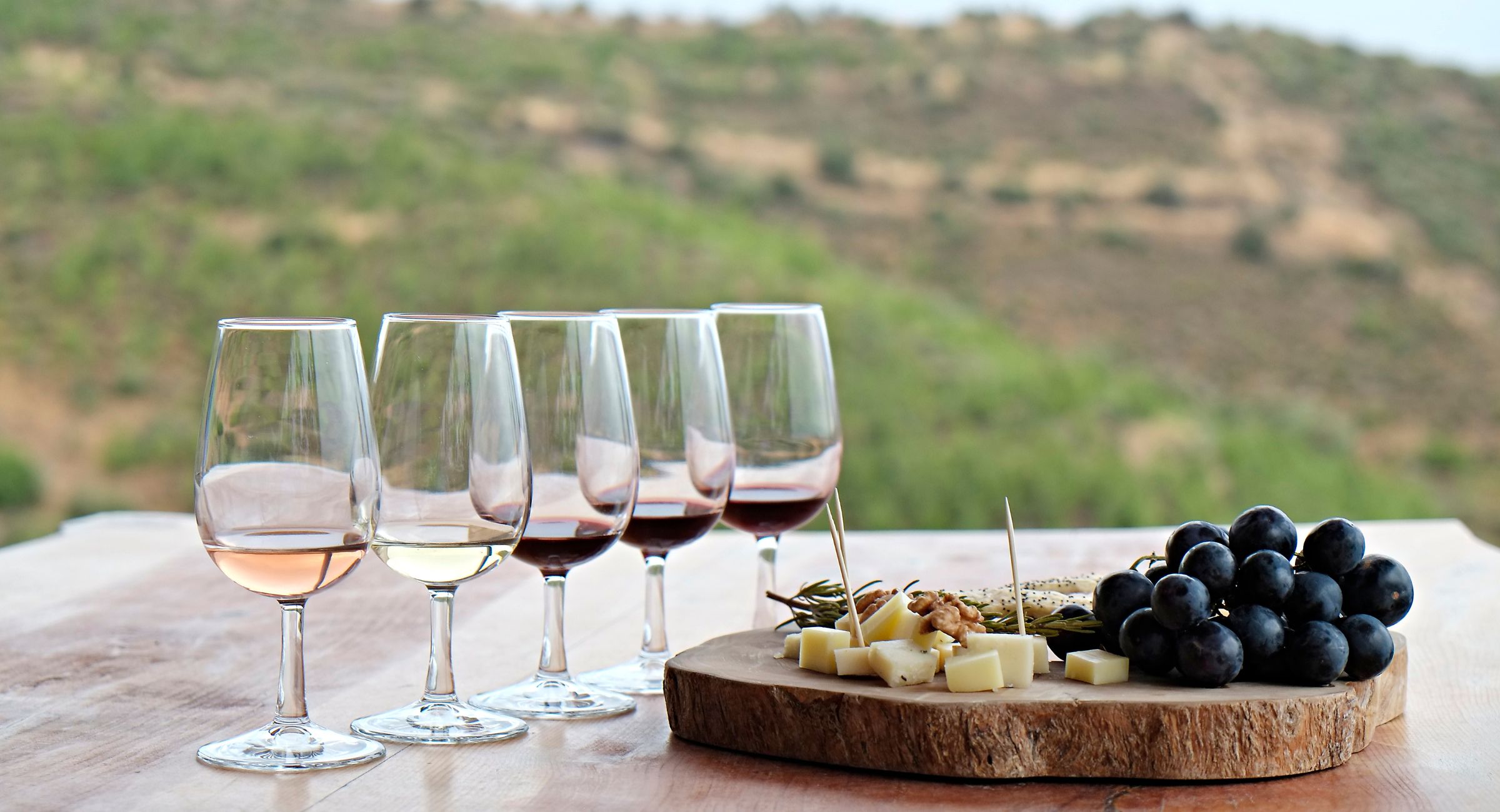 Wine tasting with local food overlooking the Umbrian countryside