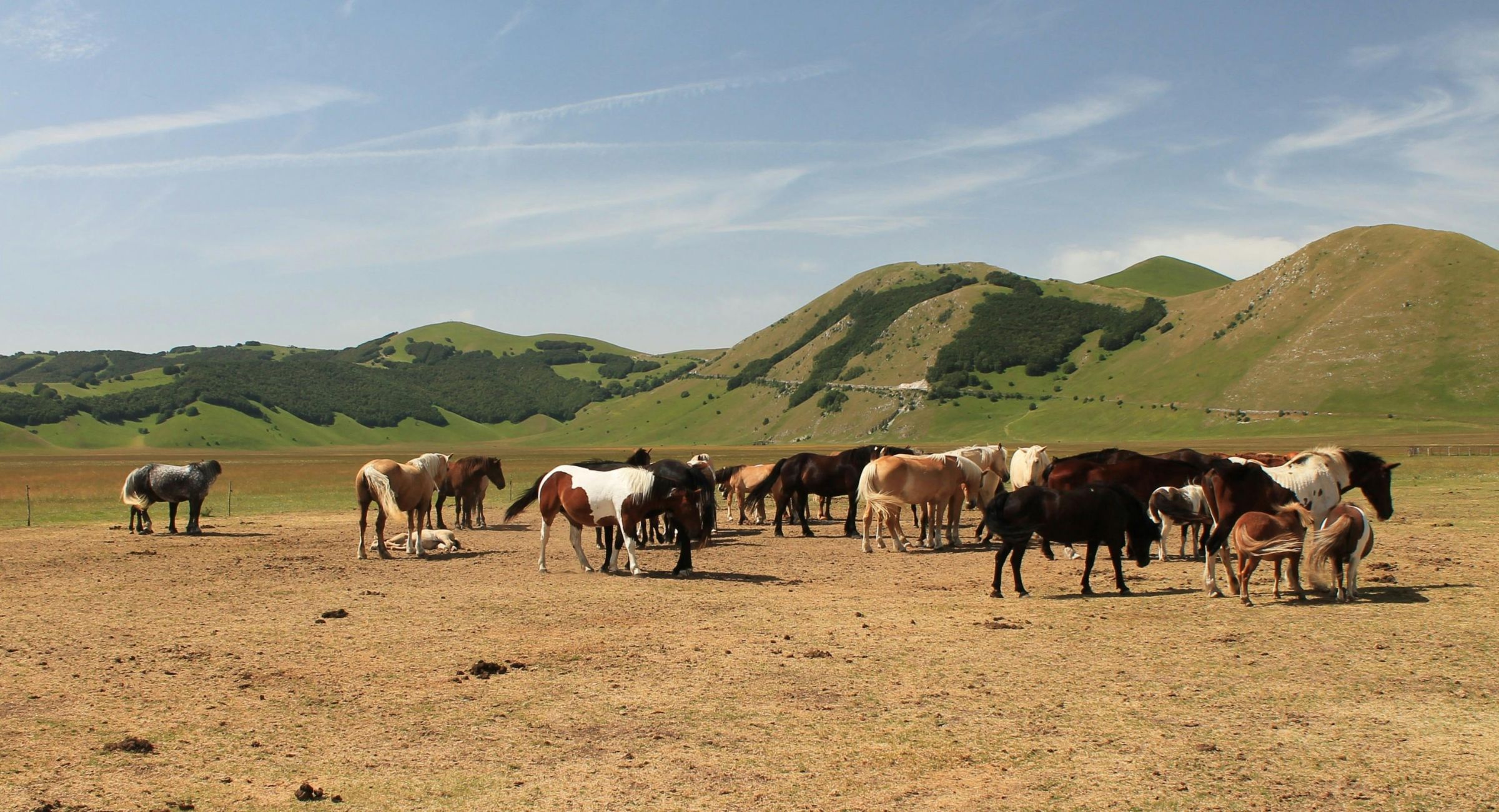 Horses grazing on an open plain surrounded by rolling hills in Umbria